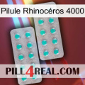 Pilule Rhinocéros 4000 29